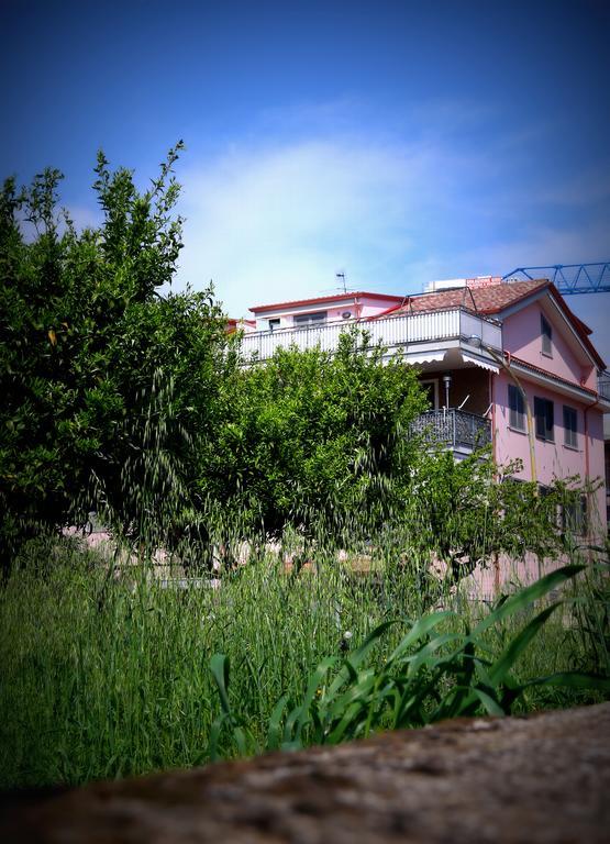 Amira Luxury Apartments Santa Maria Capua Vetere Eksteriør billede